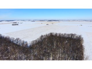 Property photo 26 - OHIO REAL ESTATE AUCTION - 202+/- ACRES IN 3 TRACTS IN VAN WERT COUNTY, OHIO